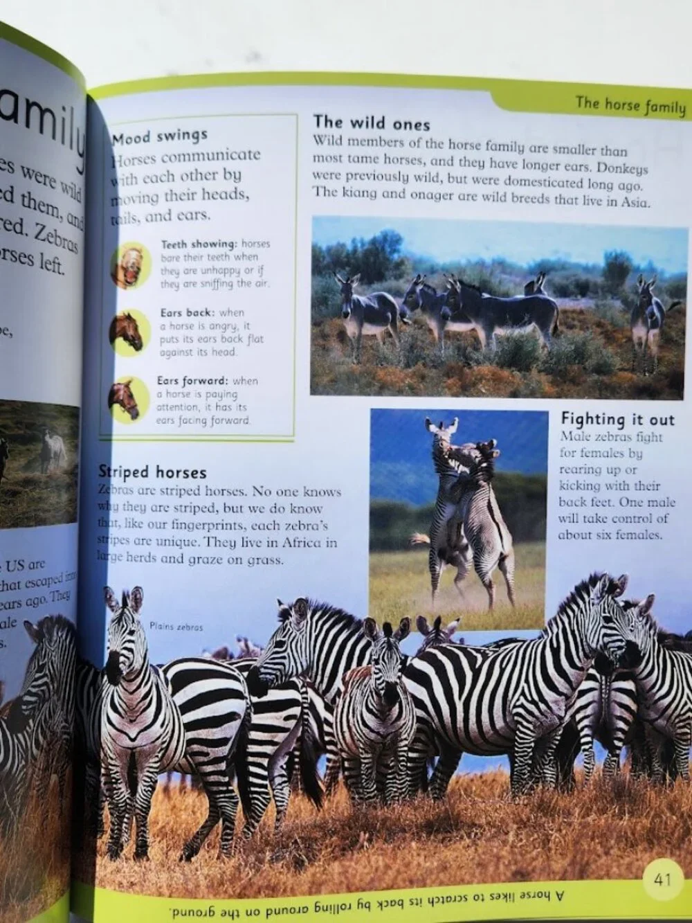NEW DK First Animal Encyclopedia Hardcover Book Reference Guide Bookshark Scienc